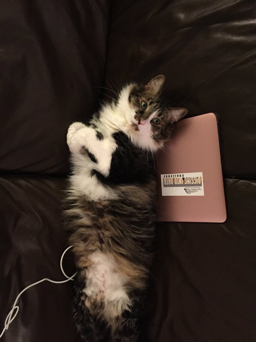 Apkallatu's tweet photo. Major Tom revives his interest in Digital Humanities #DiggingIntoData @digcuneiform https://t.co/9gpsD2P9Xw