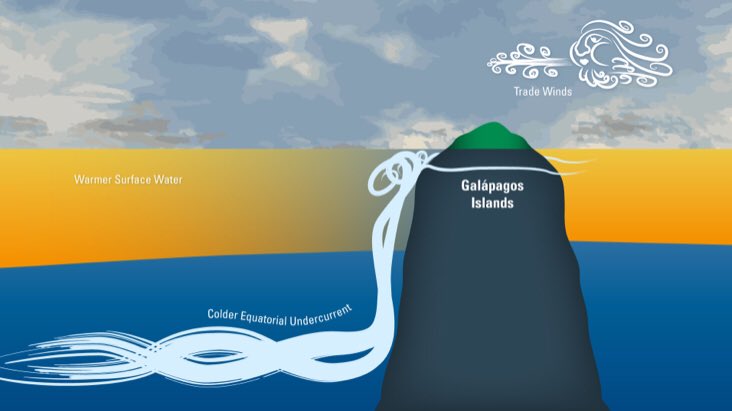 OceansClimateCU's tweet image. These observations are (literally) a dream come true, more than a decade in the making! The Current that Feeds the Galápagos whoi.edu/oceanus/featur… Great #scicomm @WHOI/@MIT student Julie Jakoboski! And I get to speak on this @UWOcean tomorrow. @Scripps_Ocean @CIRESnews @NSF_GEO