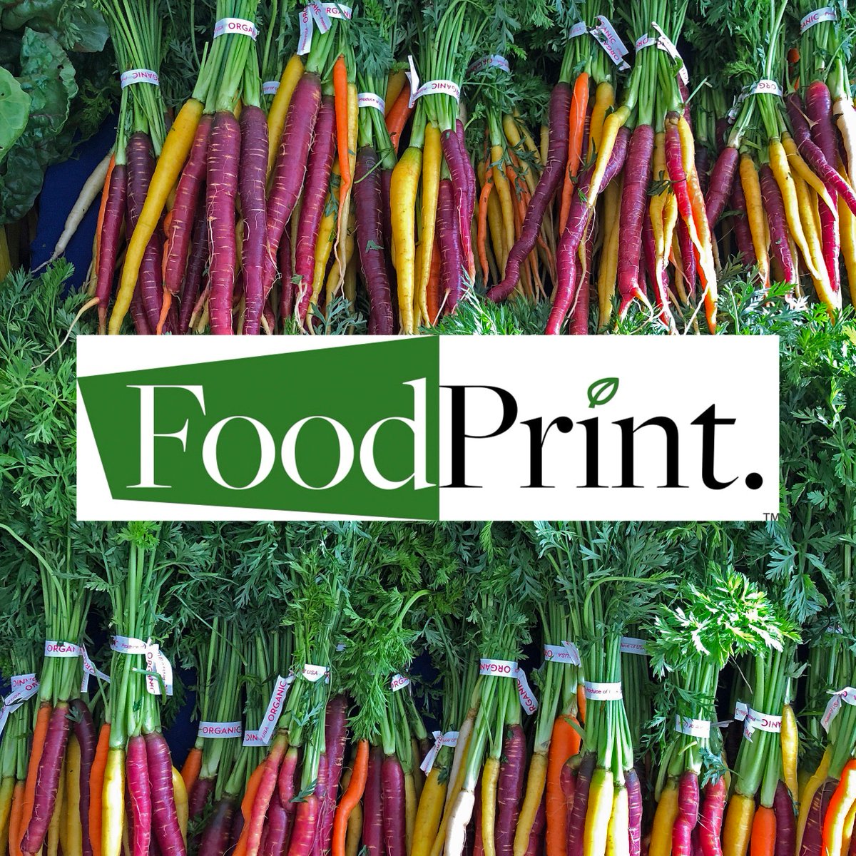 Sustainable Table tweet media