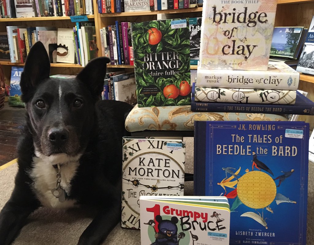 Bookstore mascot Riley is here with an epic #newbooktuesday!