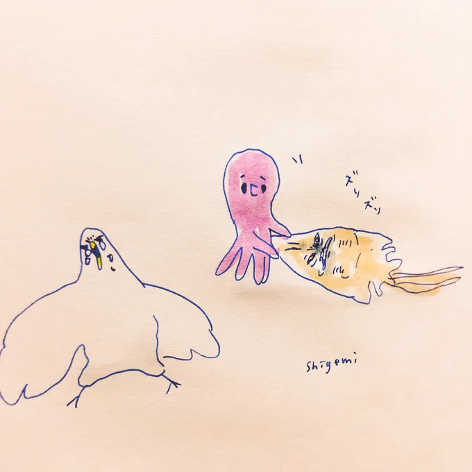 エイの干物は怖くて泣いちゃう鳥。 