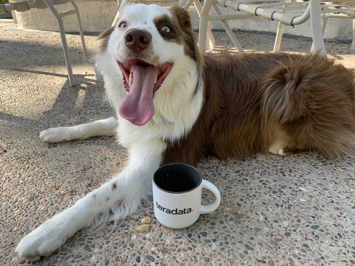 bchow03's tweet photo. "I love how @Teradata transforms how businesses work and people live through the power of data!" - Leo #InvestInAnswers #DogsOfTeradata https://t.co/RRn5kbs6JU