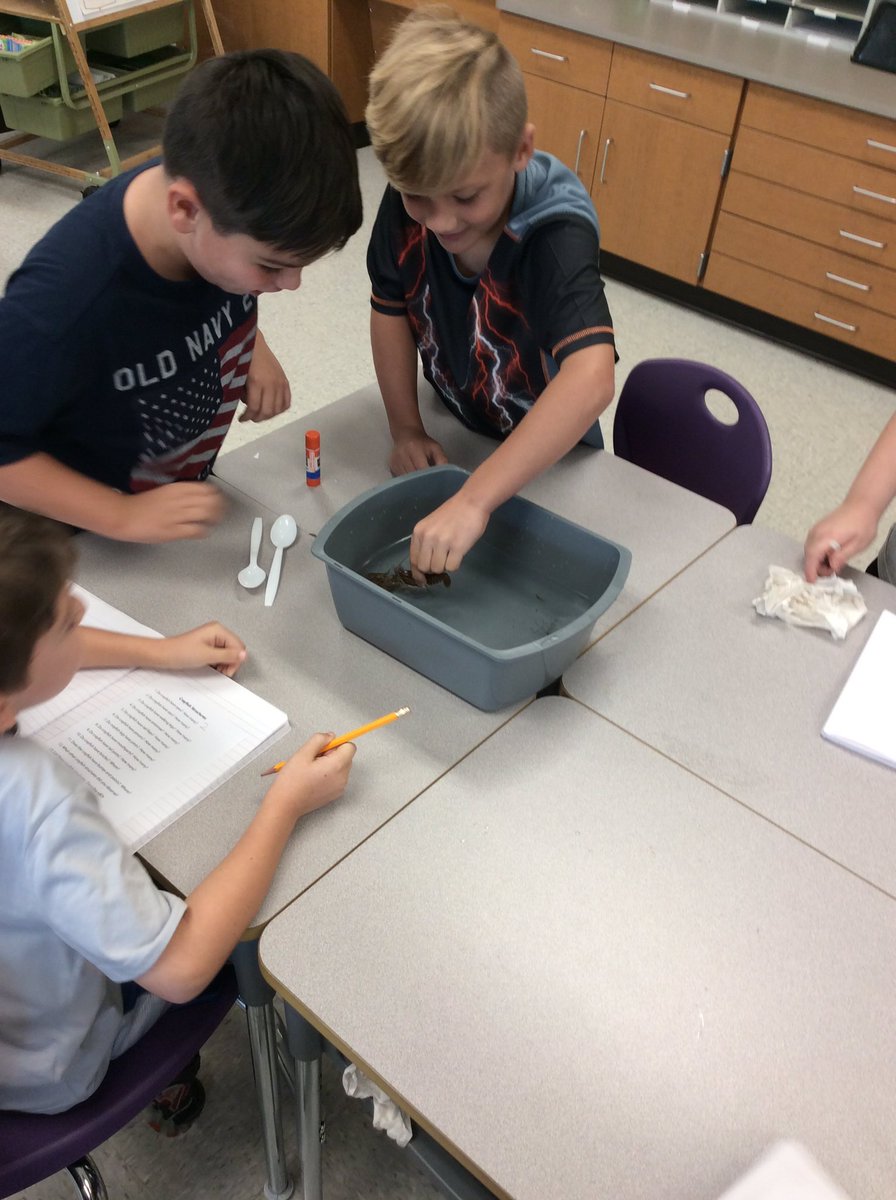 weroarmarshall3's tweet photo. Exploring crayfish! #wearenorthern https://t.co/QBet4uVnMS