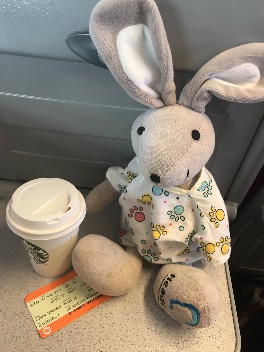 AmeyDiane's tweet photo. I have a stowaway in my bag today. We’ve been to London to sit on a Craniofacial and Cleft Clinical Studies Group. Some fantastic research proposals put forward. I’m looking forward to my new role on this panel. #parentparticipation #panelparticipant #viewsofpatientsmatter https://t.co/hxEIaoVhBH