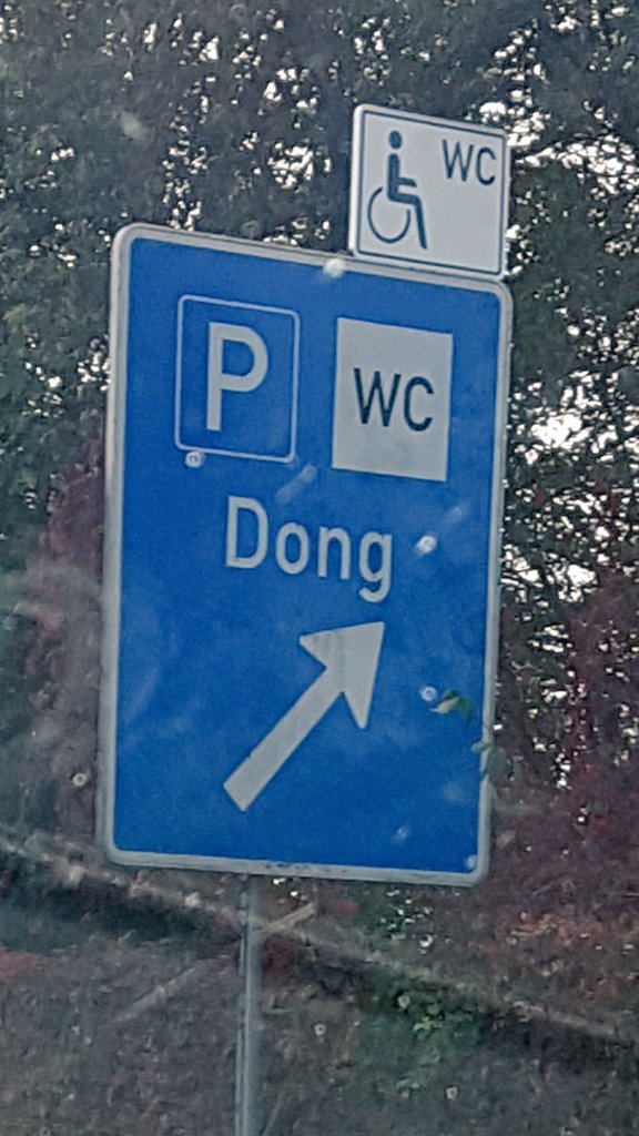MurvinnJMinky's tweet photo. @TheG18 didn't knew you had your own place in Germany, and I guess it has a toilet! https://t.co/DGXtqR7yPj