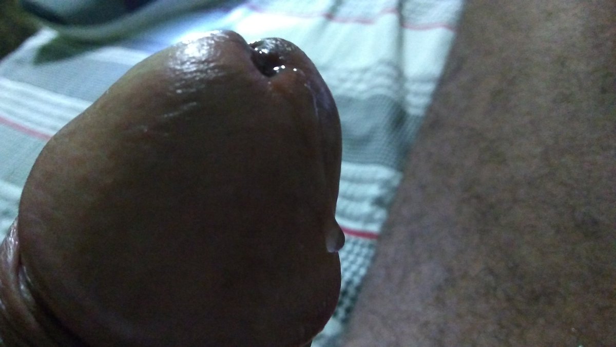 HoCock3's tweet image. 