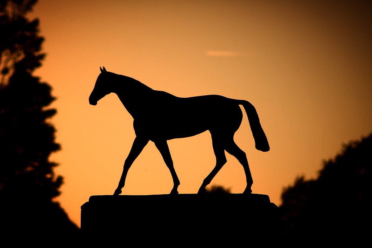 Lovely sun setting behind the @NatStudStallion Mill Reef statue this evening 👌🏻#NoFilterRequired