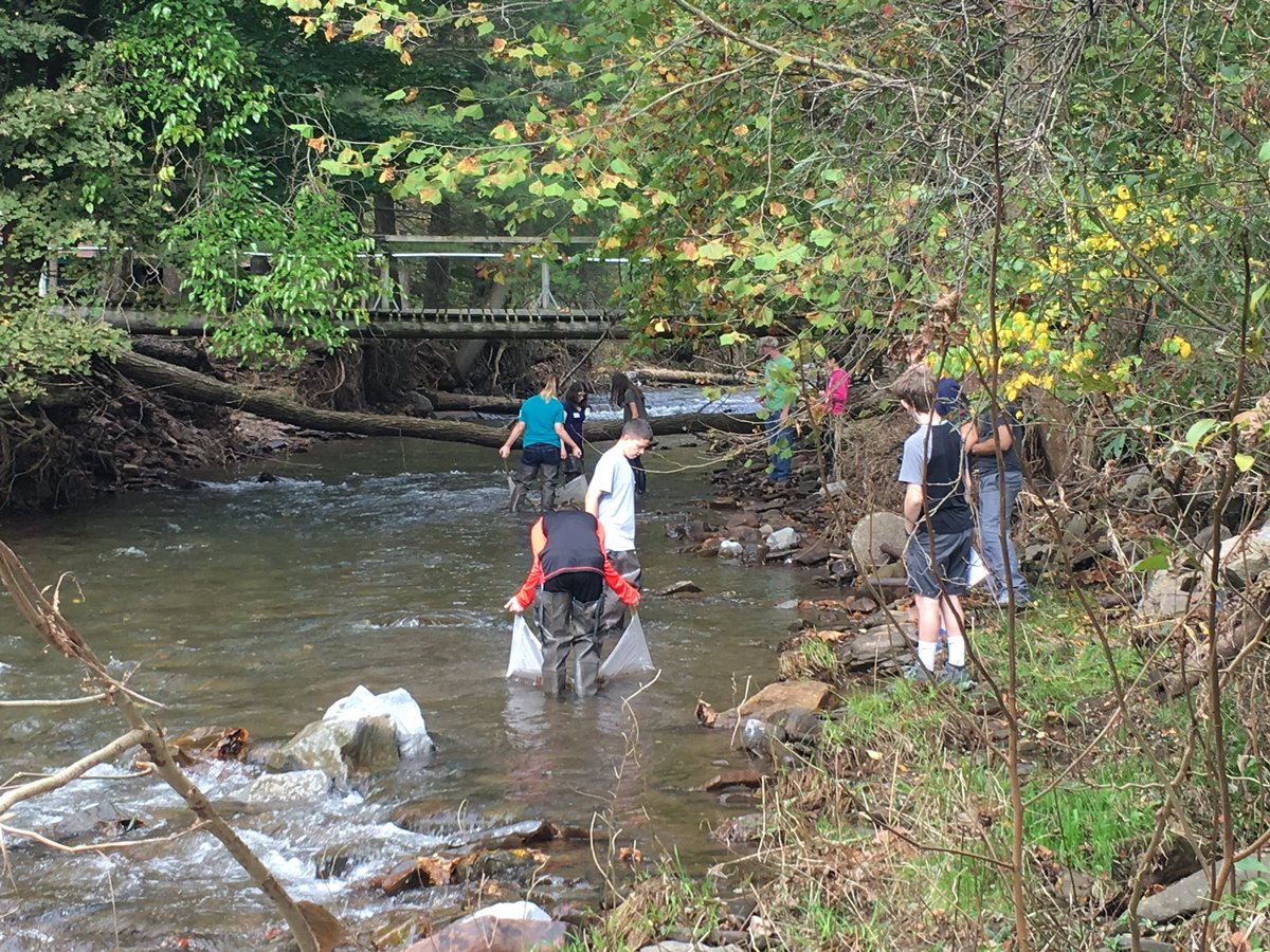 zanolith's tweet photo. Intergenerational teaching and learning #water quality techniques with @TeenShaleNet and #CCPaSEC!  Learned the #TeenShale Shuffle helps to gather macro-invertebrates! https://t.co/dbz70aY5tz