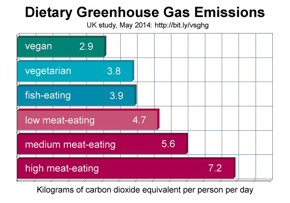 herbivore_club's tweet image. 14.5% of global greenhouse gas emissions are due to raising animals for food. 

#ClimateChange #ClimateAction