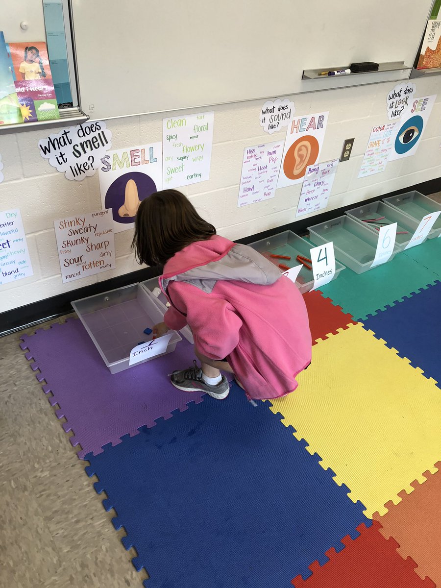 basalticcraver's tweet photo. First graders had some more measurement practice with the rulers that they made! They helped me sort some of @oliviacgm toys into bins based on size! @RosebankSTEAM @VanderbiltCSO #STEMOutreach #measuring #scienceskills #sciencebasics https://t.co/O0eFhxpMAA