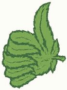 GreenMachineTr2's tweet image. GREEN MACHINE TRANSPORTERS
On Time Every Time
Pre-order deliveries and schedule your transport needs using Leaf Systems 
To receive more information, call 253-222-7212 or email greenmachinetransporter@gmail.com