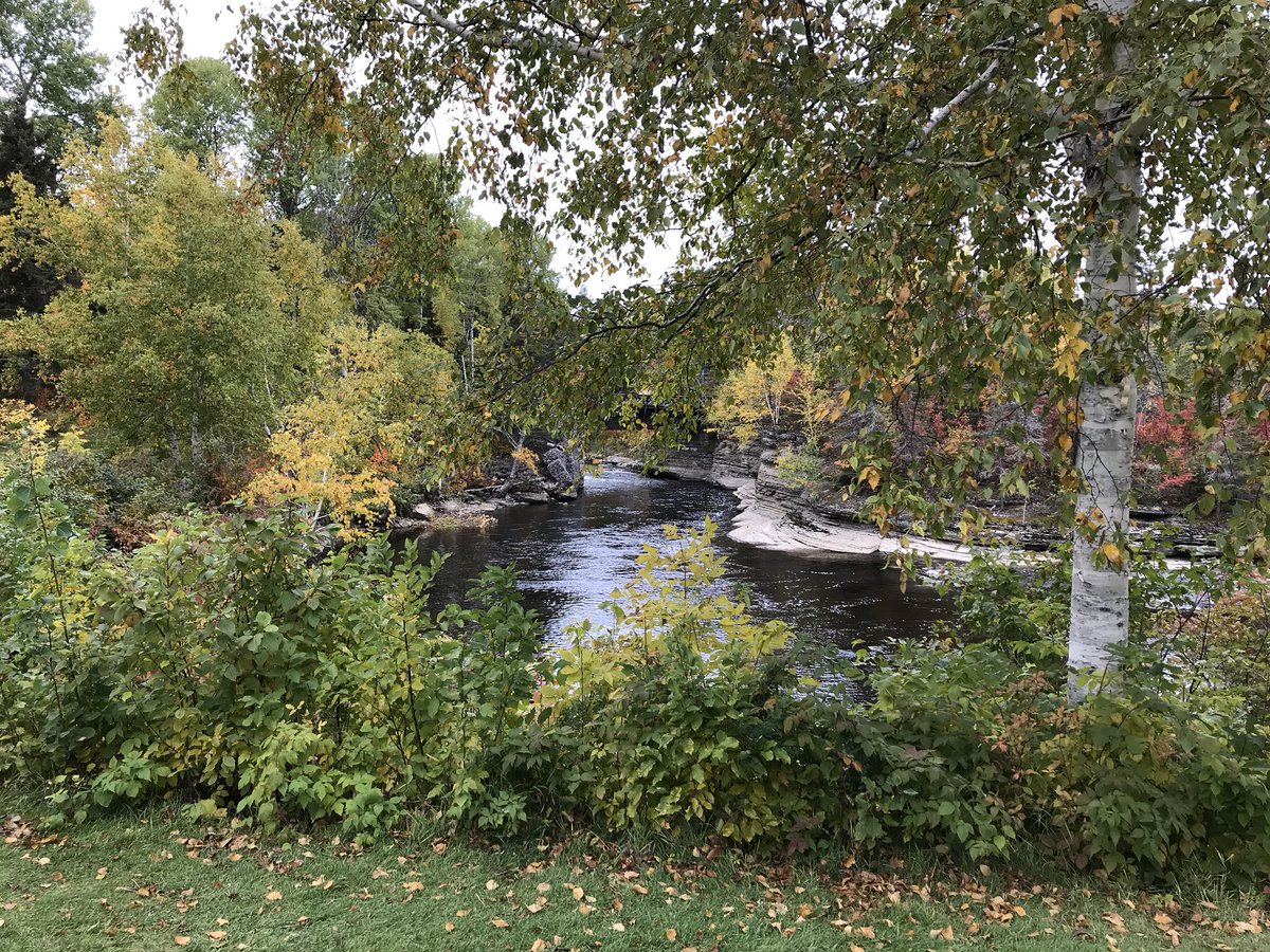 SumruPhotos's tweet photo. #Valjalbert #travel #nature #naturephotography #quebec #canada #photography #fallcolours #fall https://t.co/UZTMYSio0n