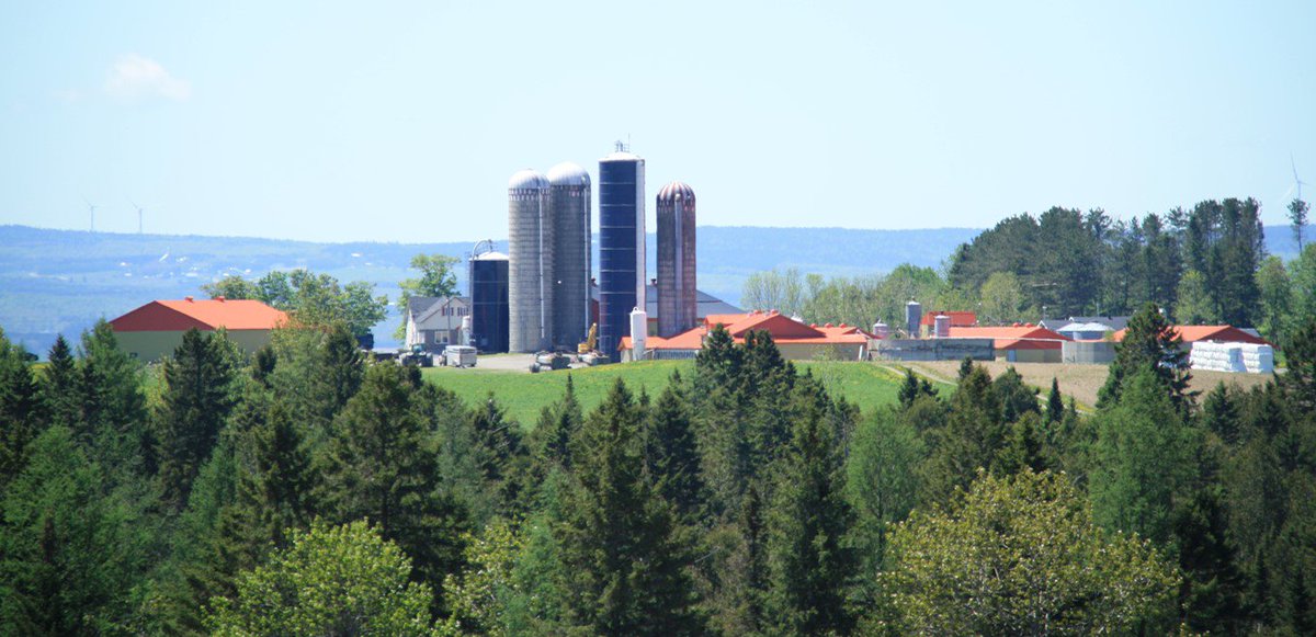 DeLavalCanada's tweet photo. Francois and Patrick Cloutier are the 4th generation at Ferme JMJ, milking 51 cows with one VMS robot. Producing 106 lbs/cow made them a 2018 top #VMSPRO producer. They attribute their success to efficient communication and an increase in production after installing the VMS. https://t.co/dhrL6JUxBE