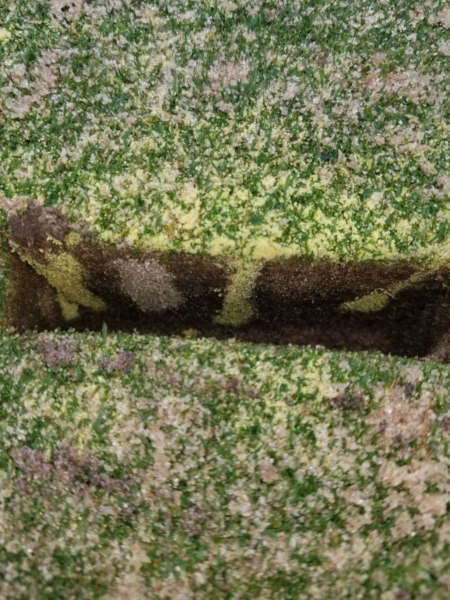 dryjectmatt's tweet photo. Getting the #DryjectHD service dialed in! We put it where you want it! https://t.co/1qwFWRQhY7
