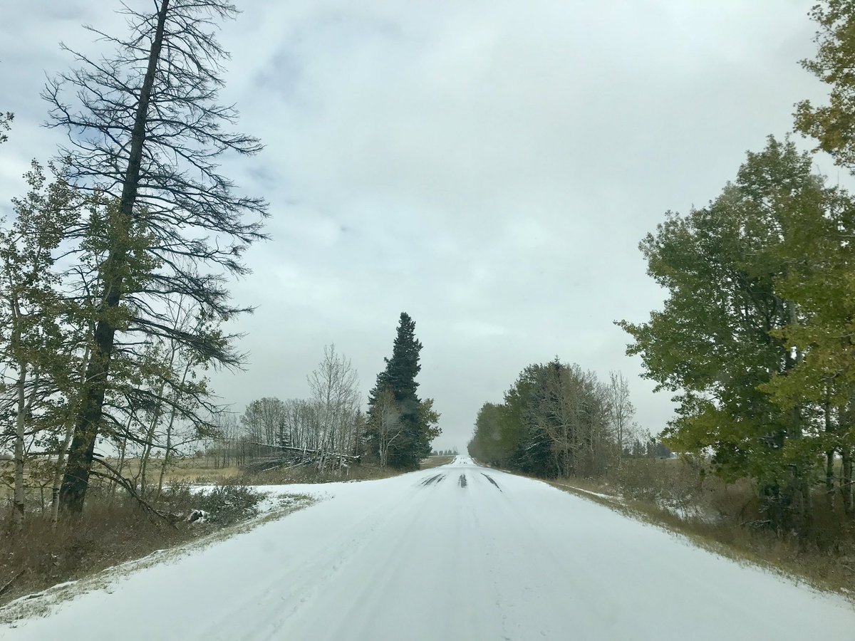 devmanwalkin's tweet photo. Bad news: we’ve had right around 1 ft of snow in the last week. It’s been 4 weeks today since we’ve harvested anything. 
Good news: wheat and barley ate miraculously still standing. Also, the 14 day forecast finally gives us some hope. #Harvest18 #harvestfromhell https://t.co/fzvOUQQT0m