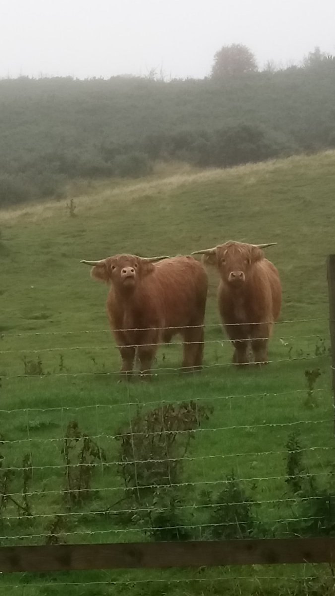 See you tomorrow lads