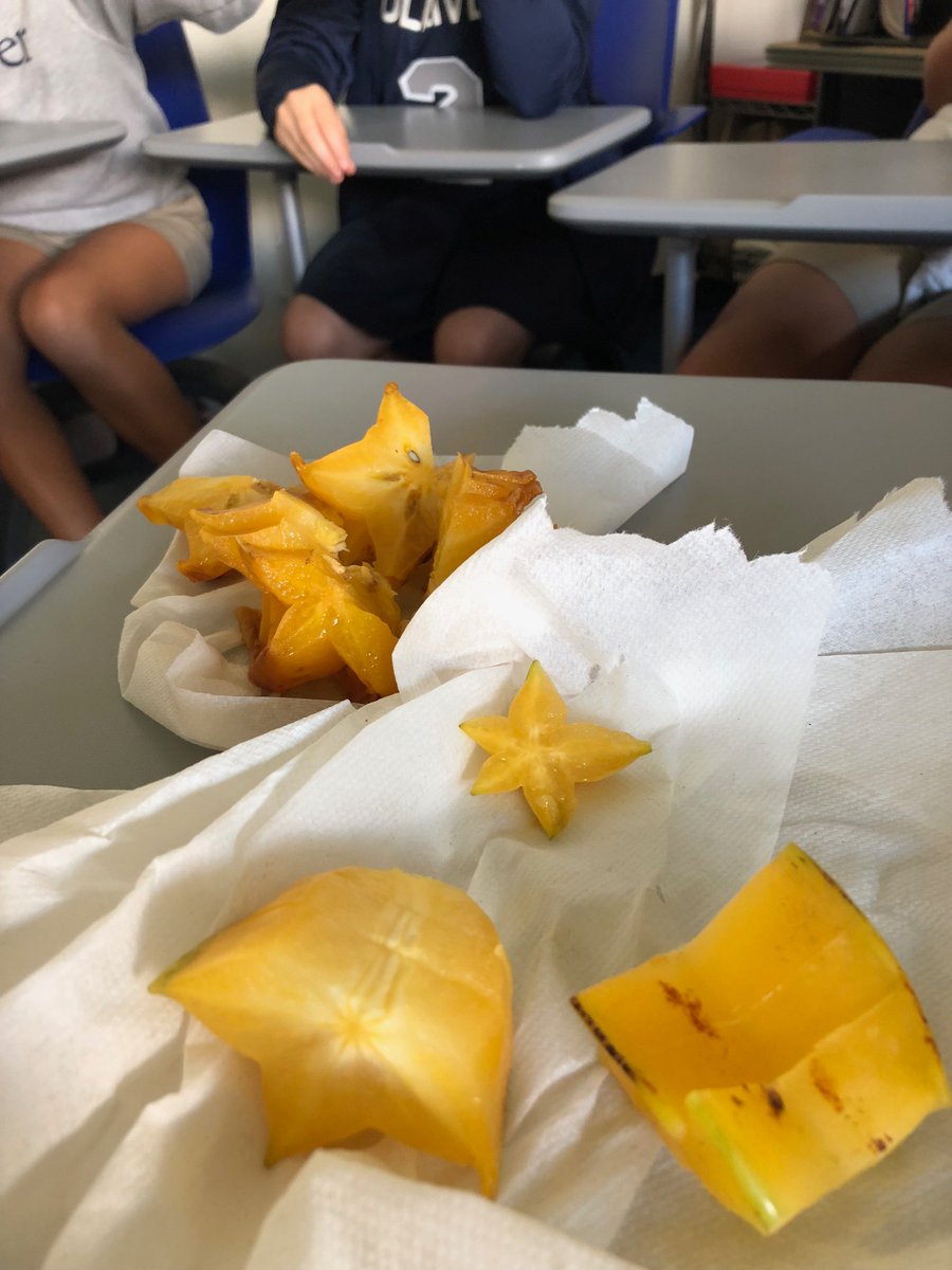 thadfoote's tweet photo. A fresh new flavor/taste for each Advocacy class. Healthy exploration for healthy bonding #gslearning https://t.co/79gFE5rFgr