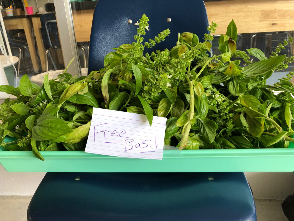 A fresh new flavor/taste for each Advocacy class. Healthy exploration for healthy bonding #gslearning