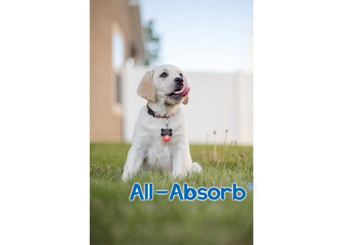 AllAbsorb's tweet photo. Happy Tongue Out Tuesday Everyone! We hope you have a pawsitively great day 🐾
🐶
Shop now at https://t.co/jBWaDgUyCu
🐱
#AllAbsorb #Tongueouttuesday #TuesdayMotivation #Trainingpads #peepeepads #weeweepads #Tuesday #Tuesdayvibes #dogs #dog #puppy #puppies #doglover #puppylove https://t.co/Q3Ek6cZNEJ
