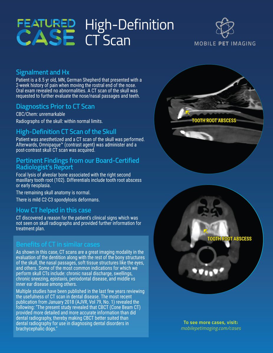 MPIvetimaging's tweet photo. Have you read our latest Case Study? Check out how our #CTscan discovered a reason for an 8.5 year old German Shepherd's clinical signs which were not seen on skull radiographs and provided further information for treatment plan. #ItsTimeToSeeMore #MobilePetImaging #Veterinary https://t.co/iHslxrAXpb
