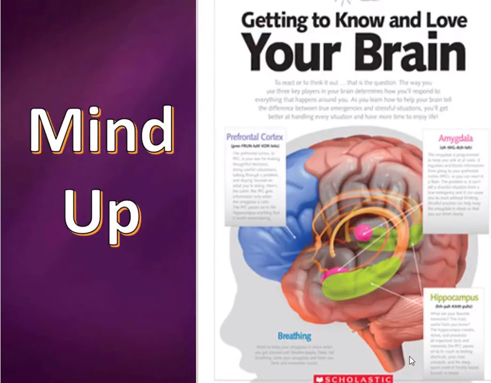 mindup resting thinking brain mindup resting thinking brain