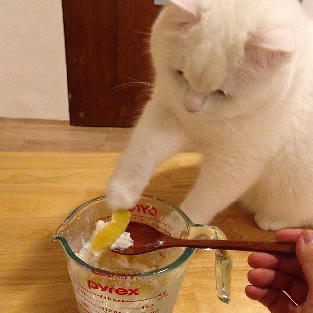irenecappu's tweet photo. ขอผมจับขอผมทัช https://t.co/YVReIDpARA
