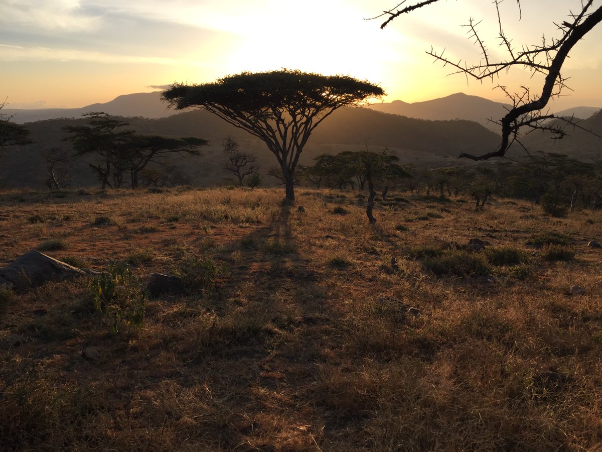 BethelIndiana's tweet photo. Dr. Kent Eby and alumnus Matt Maloney traveled to Tanzania to train 150 Maasai pastors and visit unreached villages. "This year, we found a very unreached area of Maasai land with only two known believers," says Eby. 

Read the rest of the story at https://t.co/9e0aE88ElR https://t.co/BDaFOKjHzC