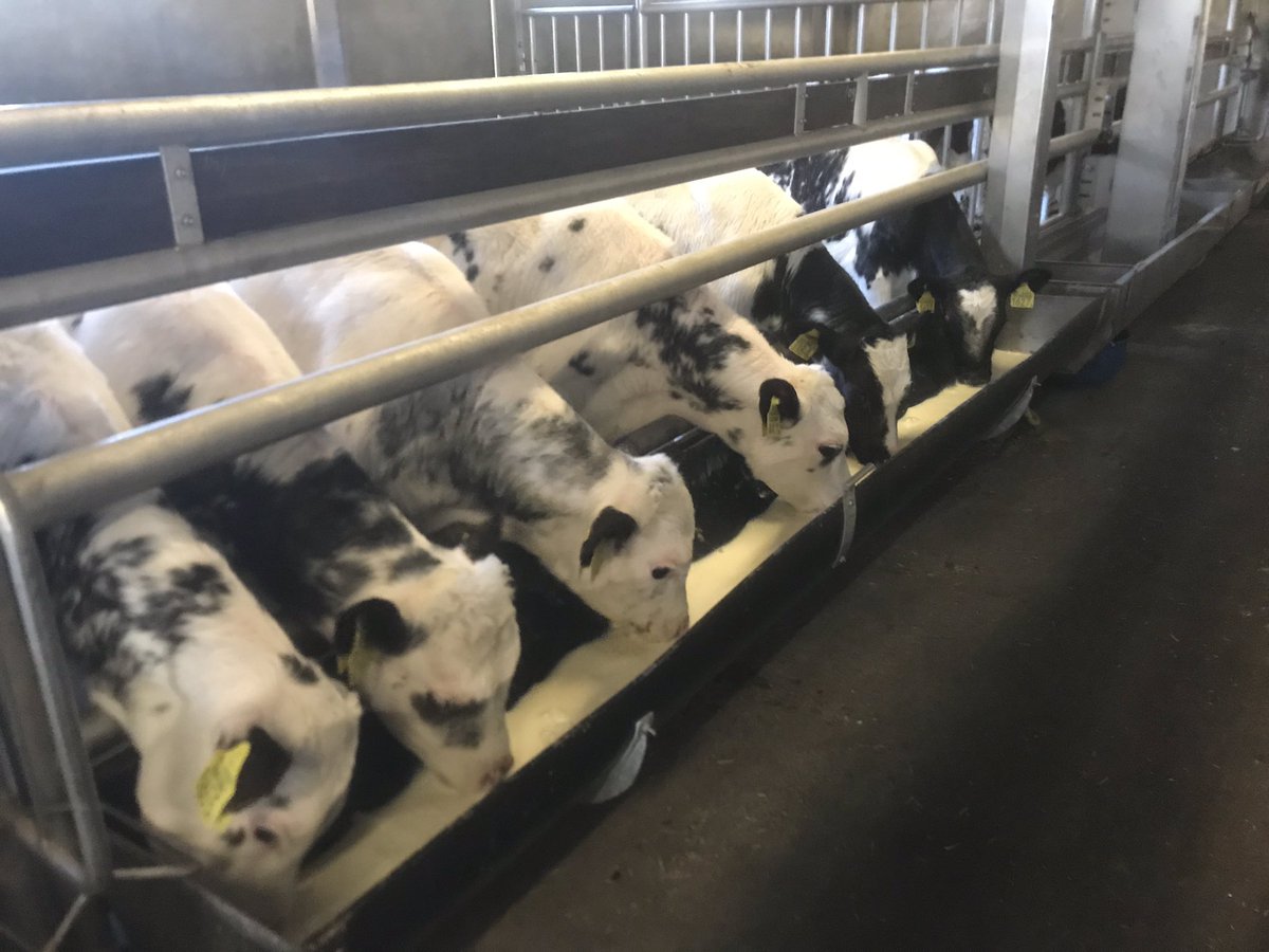 Johan_van_Beek's tweet photo. De melk hebben ze weer binnen. Ruwvoer hebben ze voldoende. De boer kan met een gerust hart naar #AGM18 (Agrimeeting) #zinin https://t.co/6LtaQE7R8X