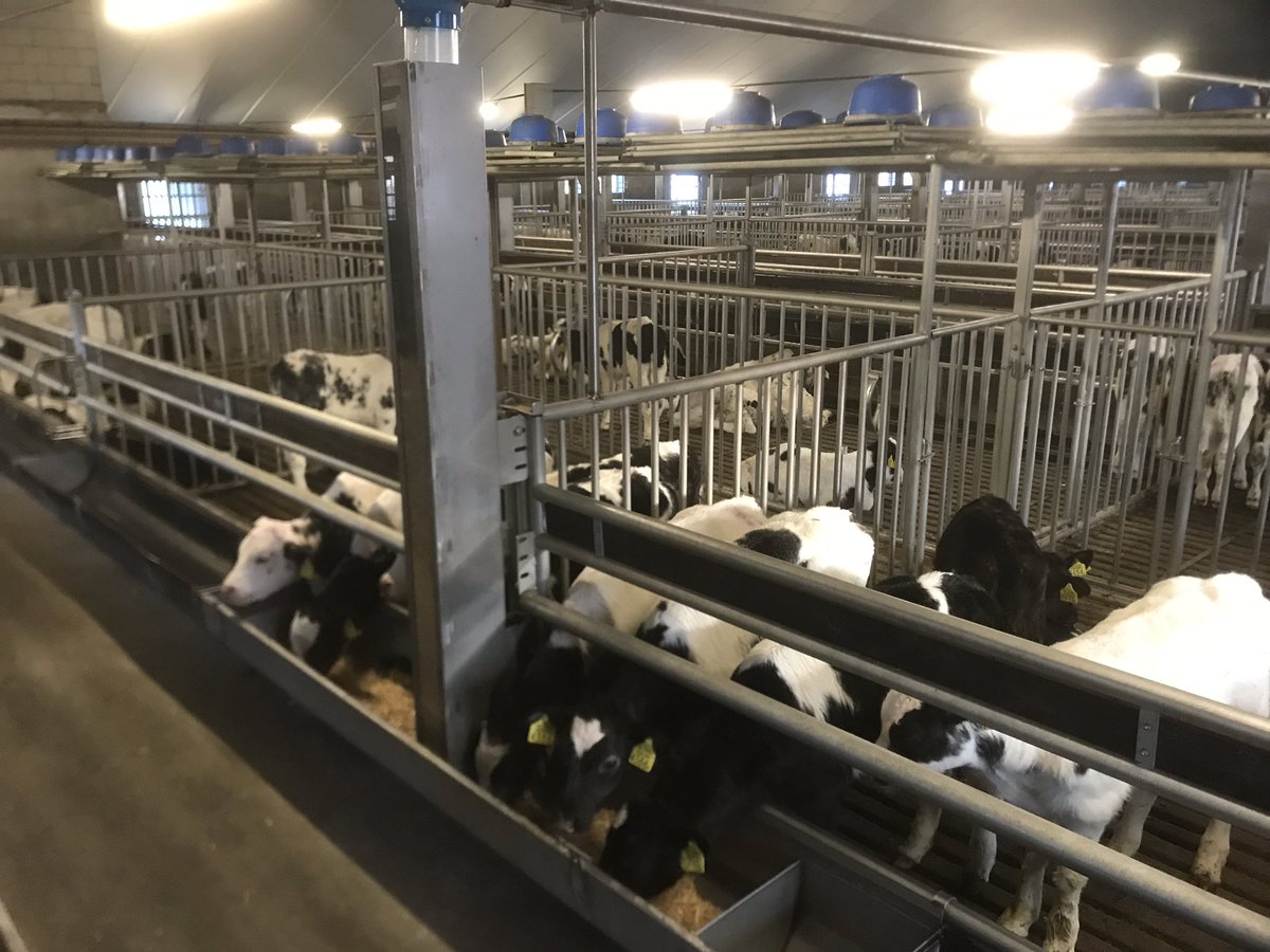 De melk hebben ze weer binnen. Ruwvoer hebben ze voldoende. De boer kan met een gerust hart naar #AGM18 (Agrimeeting) #zinin