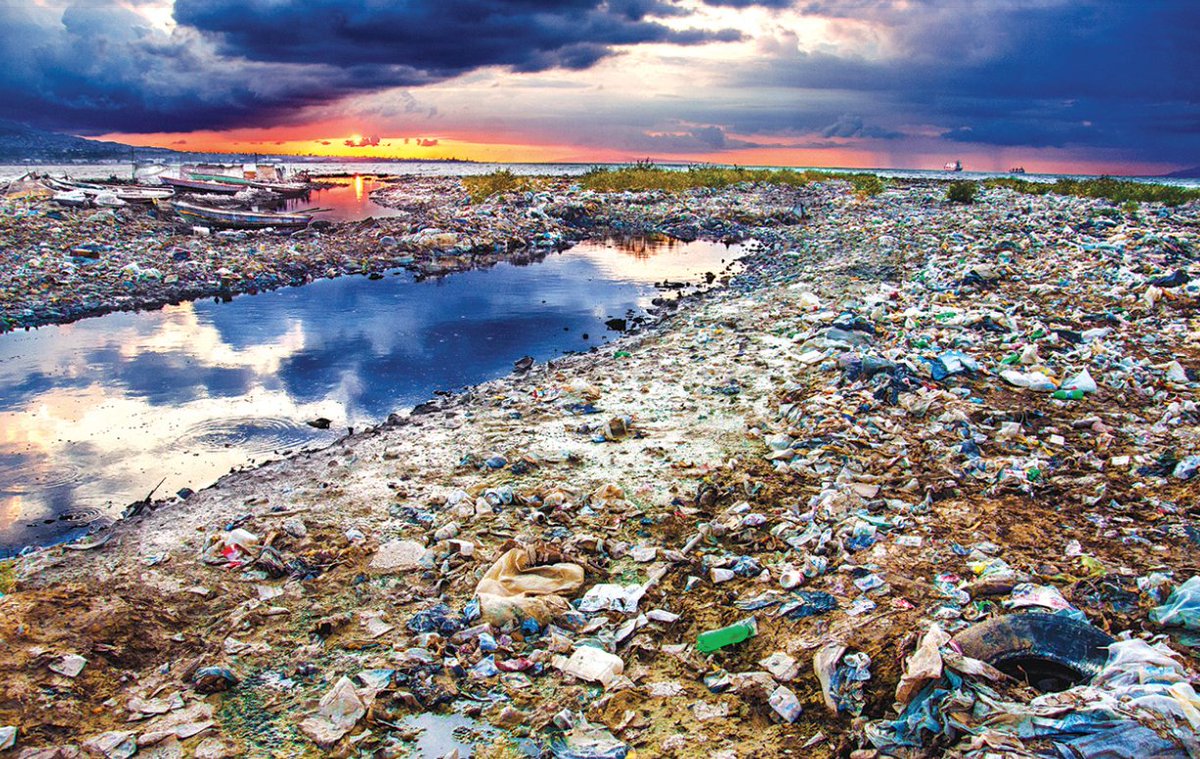 ChallengesNews's tweet photo. Selon les statistiques disponibles, Haïti perd chaque année près de deux milliards de dollars en fruits de mer à cause de la disparition des mangroves, des dépôts de déchets et de sédiments dans le milieu subaquatique. Lisez @ChallengesNews en ligne: https://t.co/3hd98yPyy7 https://t.co/LRTzuARoZZ