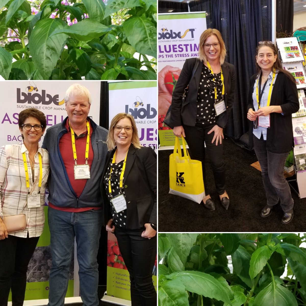 ThielsGH's tweet photo. Alberta growers last wk at #CGC2018 @CdnGreenhseConf chatting #biocontrol w specialist Veronica #buggeeks #IPM #beneficials #asperello #bluestim #pepMV #thrips #whitefly #learnit @ChristiePollack @GVGreenhouses @flaurancompany @1BIOBEST #goodbugs #growclean https://t.co/eXB6A1vVTB
