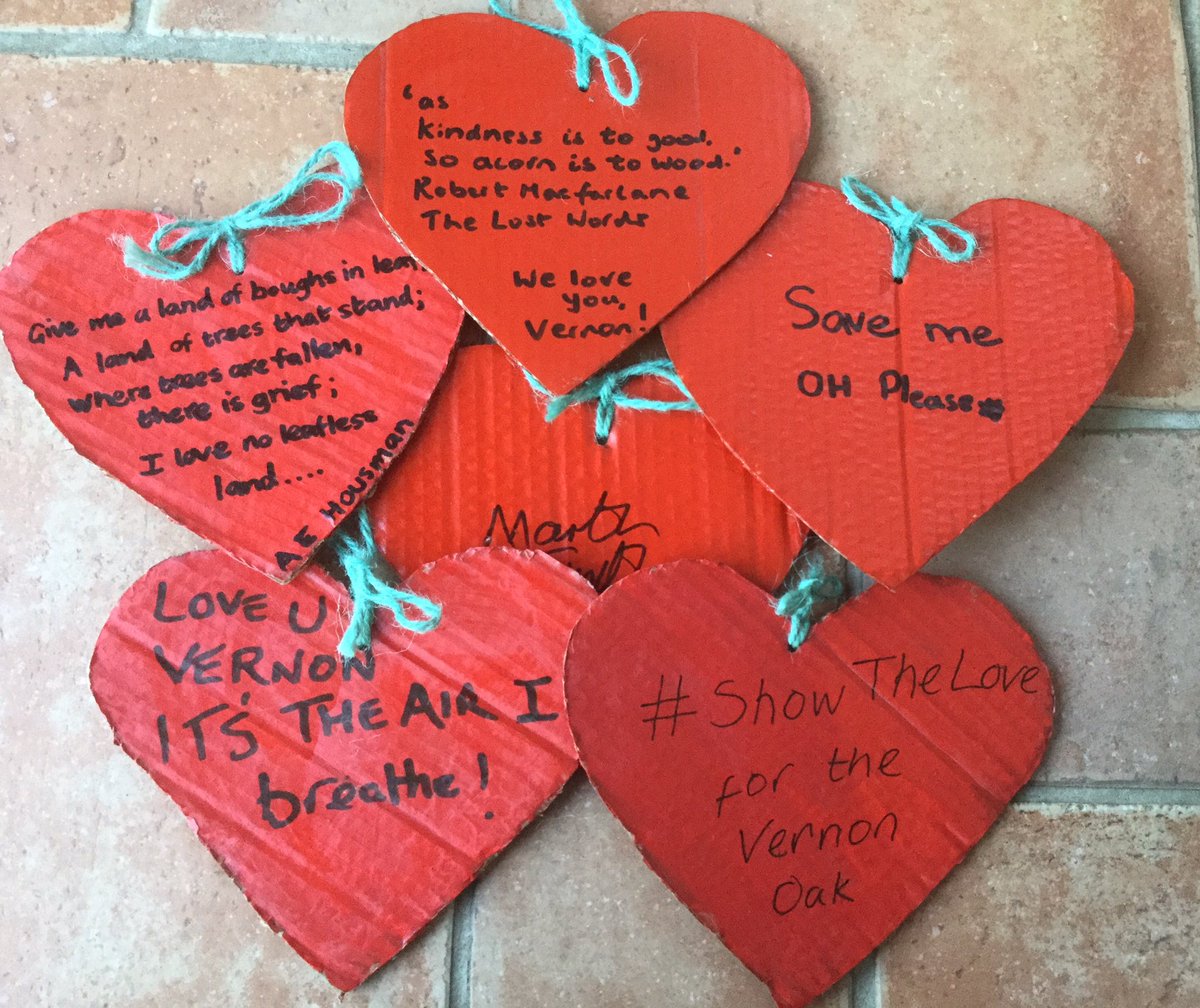 sj_unwin's tweet photo. Found these #ShowtheLove hearts for Vernon oak in my outbuilding this afternoon. Sealed with polyurethane for the #Shefftreefest and then forgotten, they missed a great event! @JoannaCDobson @SAVEDORETREES https://t.co/1CD4sdBGaa
