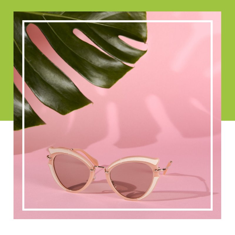 ShadesDaddy's tweet photo. Too much Tuesday, not enough coffee..but at least you can shop Miu Miu Sunglasses at https://t.co/Jg8hoTeGAY https://t.co/JA6exun8SN https://t.co/YPM7RGPxdw