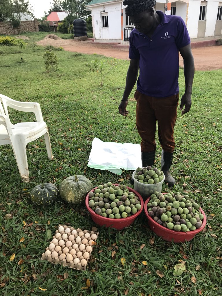 sgashishiri's tweet photo. Farm work made my day on this #UGandaAt56 https://t.co/9B3ShKyJ89