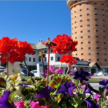RedazioneRDE's tweet photo. Sestriere: decima edizione per adotta un fiore
Dal mese di ottobre l’Amministrazione comunale di Sestriere invita turisti e residenti a prendersi cura dei fiori e delle piantine ornamentali degli spazi verdi comunali...
Continua a leggere qui.
https://t.co/xuKFimWFea https://t.co/aWOurr0TtS