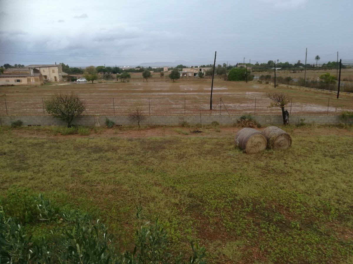AV1ch's tweet photo. Plou damunt banyat a Campos. Forta tempesta avui horabaixa @AEMET_Baleares @MiquelSalamanca @MetIllesBalears https://t.co/kbm8QCnNJF