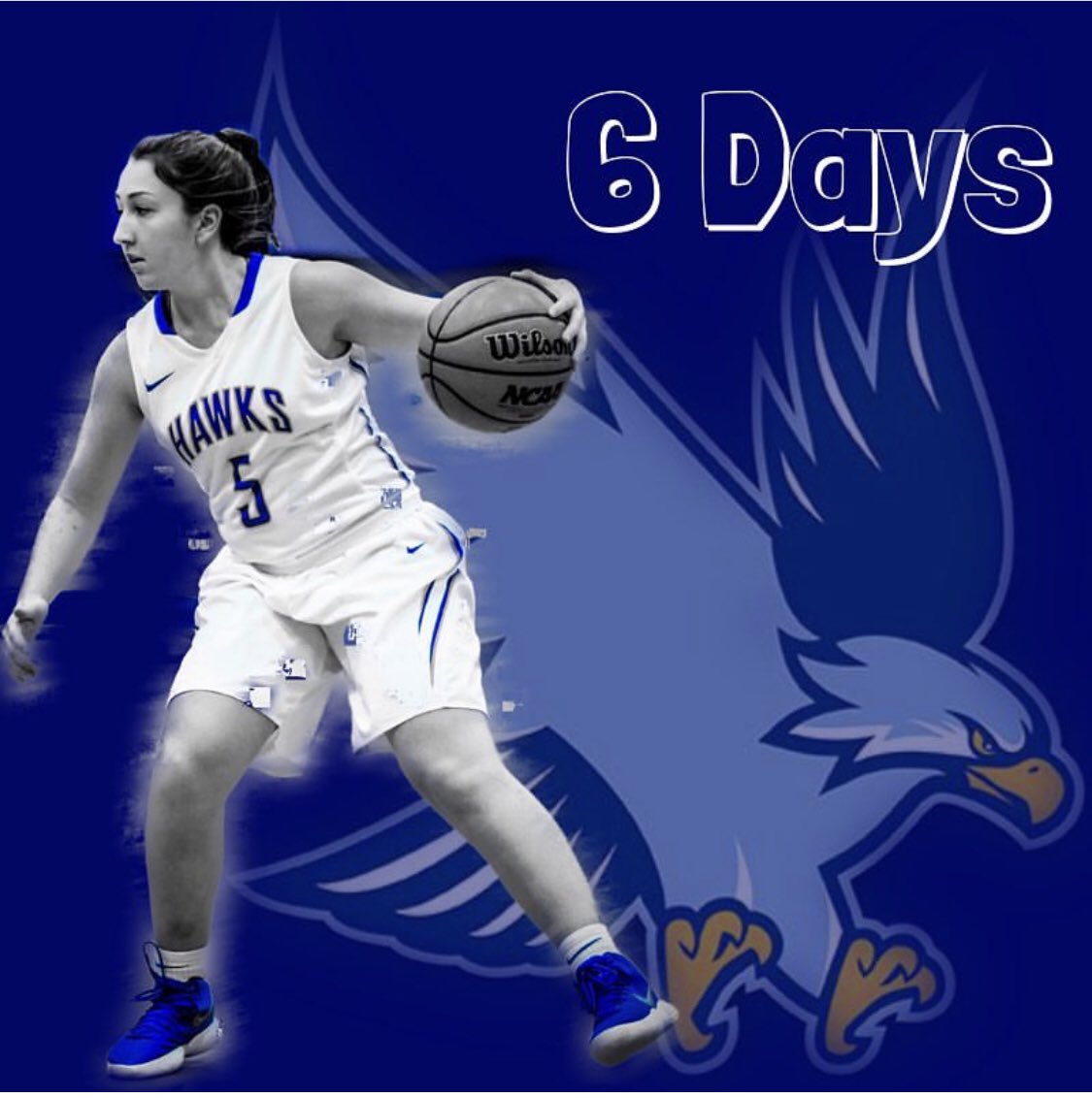 RWUHoops's tweet photo. Another one down. #sixdays #weareready #october15 #passion #character #seflessness #gohawks 🦅🏀6️⃣ https://t.co/8coTReFgDf