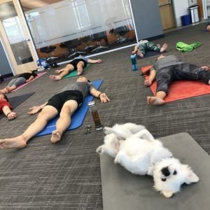 Fresh Brewed Tech - SD Tech News tweet media