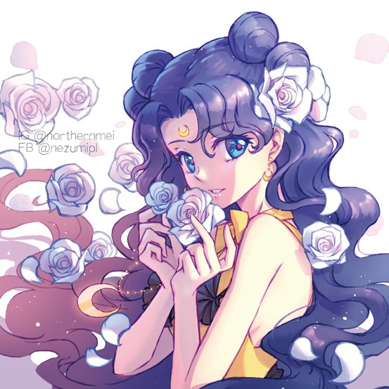 仙梅 ルナ 美少女戦士セーラームーン セーラームーン Sailormoon Luna ルナ セラムン T Co Kebtdbdwd8