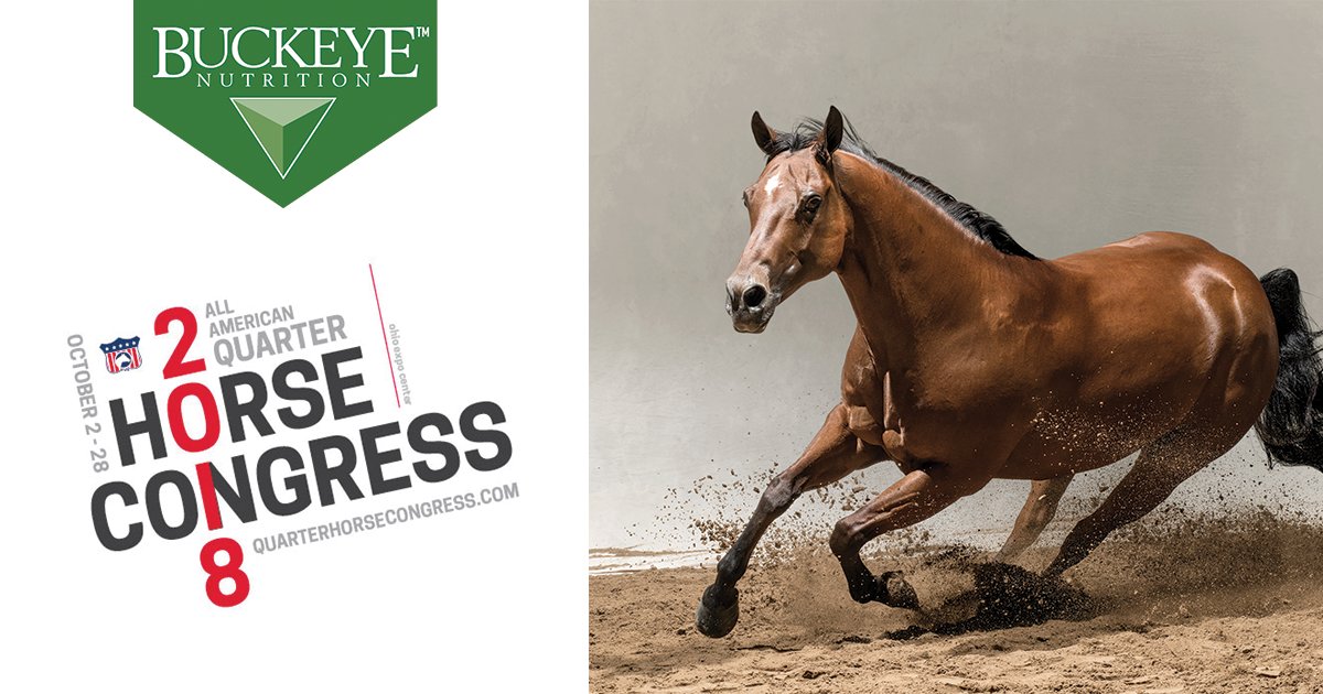 stoltzfusfeed's tweet photo. Stop by Booth #601 in Congress Hall and enter to win 10 FREE bags of feed each Sunday, plus our GRAND PRIZE valued over $500 #buckeyenutrition #qhcongress #aqha https://t.co/tPMj0ZcFEY https://t.co/t7xTufnu1k