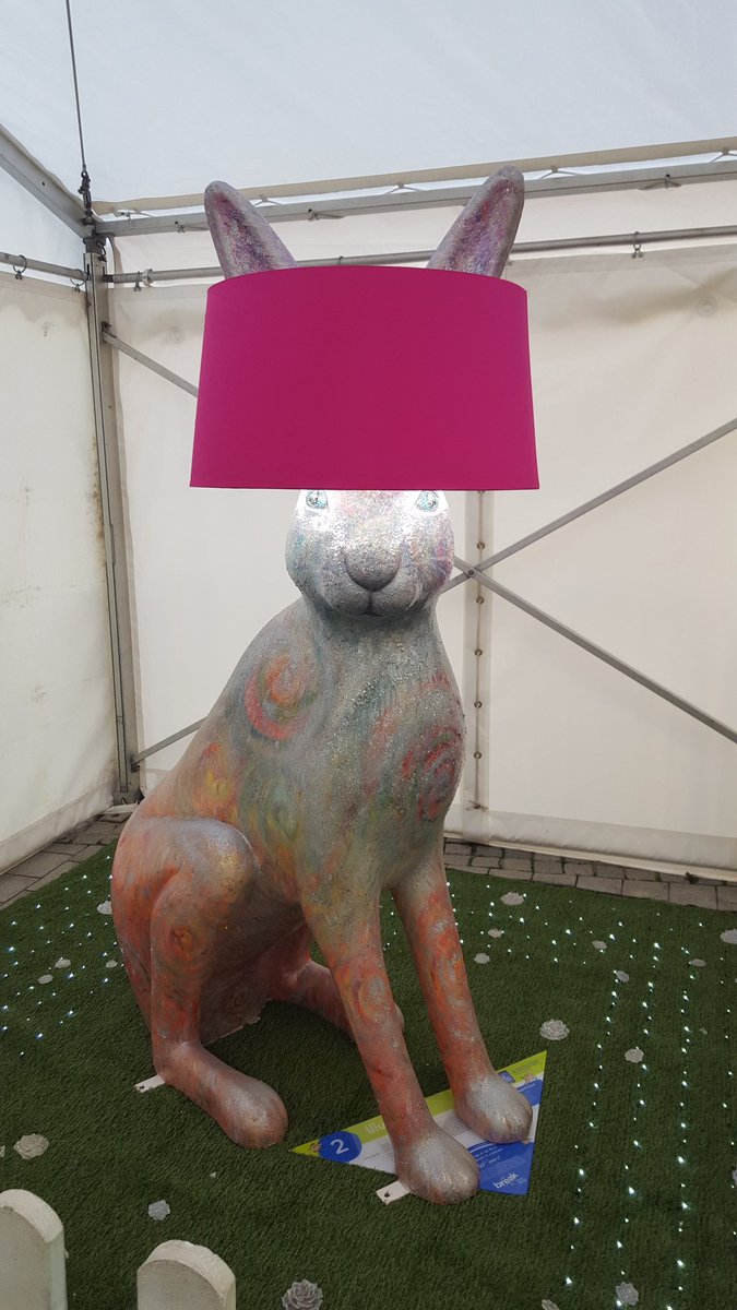 Cookiedebs's tweet photo. @GoGoIlluma @GogoHareman @GoGoHares2018 @break_charity And lovely you look too.. https://t.co/ghiwXHSN1b