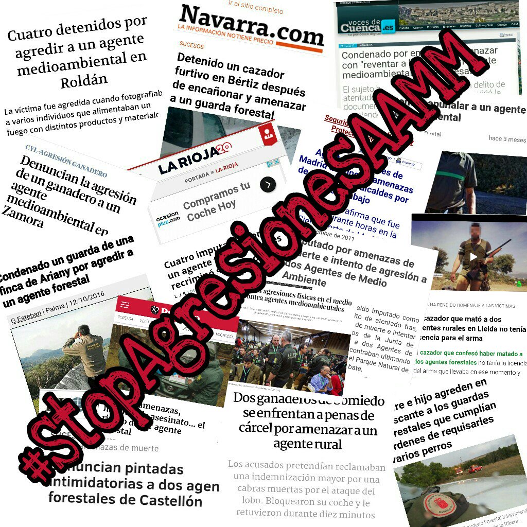 AMedioambiental's tweet photo. @apamcyl @jcyl @PopularesCyL @PSOE_CyL @CsCastillayLeon @iucyl @Podemos_CyL @UPL_Leon @AEAFMA @leonoticias_ @diariodeleon @LeonActual @emecyl112 @EFE_CyL @EPCastillayLeon Mi apoyo total al compañero agredido, los #AgentesMedioambientales pedimos medidas de seguridad porque nos son totalmente necesarias para el desempeño de nuestras funciones diarias. #StopAgresionesAAMM
#MediosDeDefensa #AAMM #AAFF @interiorgob  @sanchezcastejon https://t.co/J3TRbiTVNL