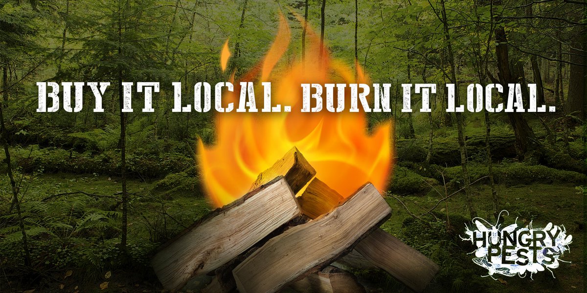 It’s #Firewood Awareness Month! Invasive pests can spread by hiding in firewood, so only take heat-treated firewood with you on your #camping trip. bit.ly/2iZKuUI