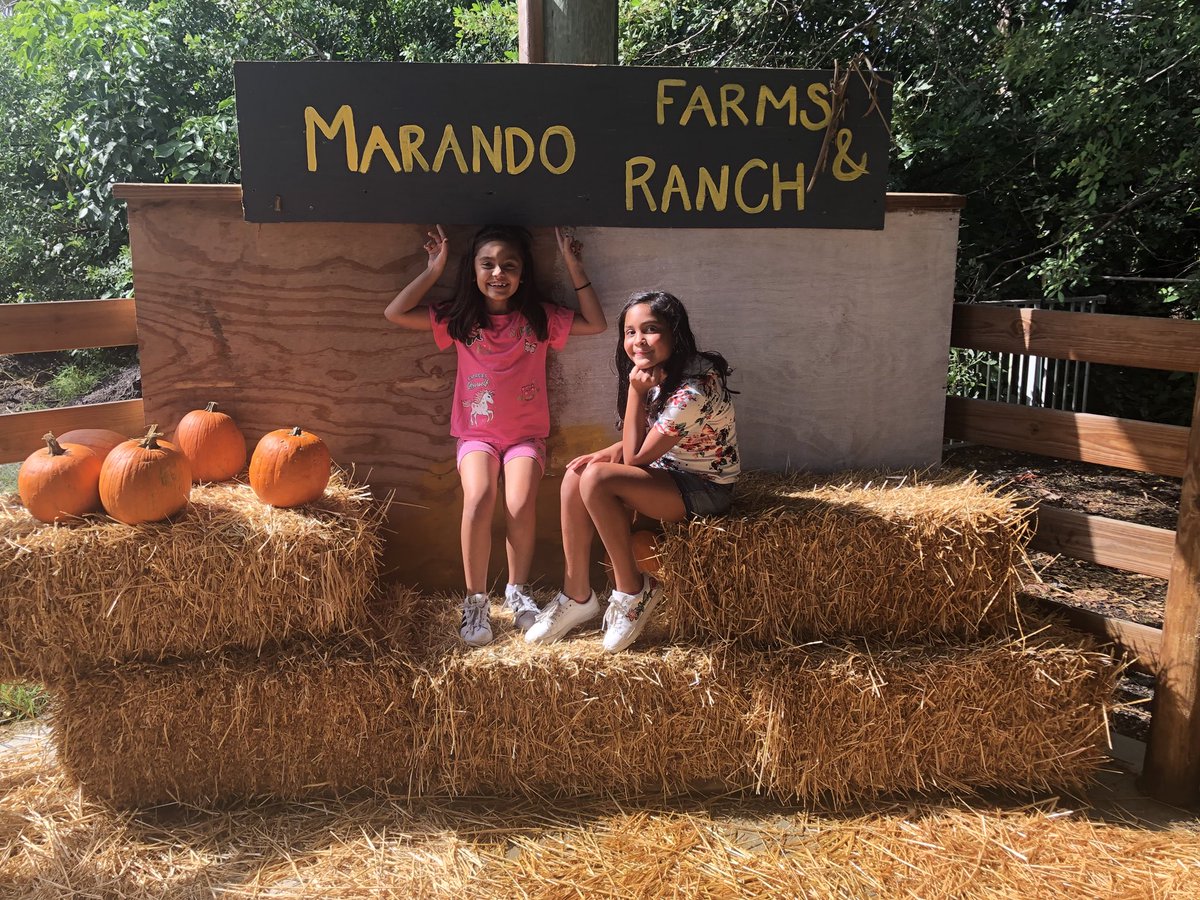 claudiaeijo1's tweet image. My little divas 😘 #PumpkinPatchfun #Happyfall #Happygirls