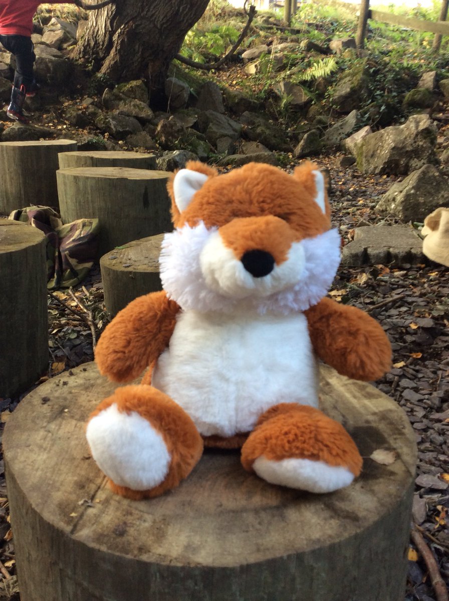 MrsARichards95's tweet photo. After school club had a lovely first session at #ForestSchool today! We met our new friend #ForestFox 🦊 talked about our rules and explored our lovely area! 🌳🌲🍂🍃 @garntegprimary @ZAlly95 @sattewell95 https://t.co/gnokoWaj9C