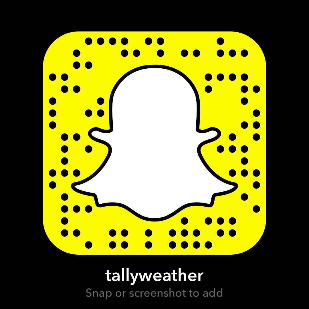 Tallahassee Weather tweet media