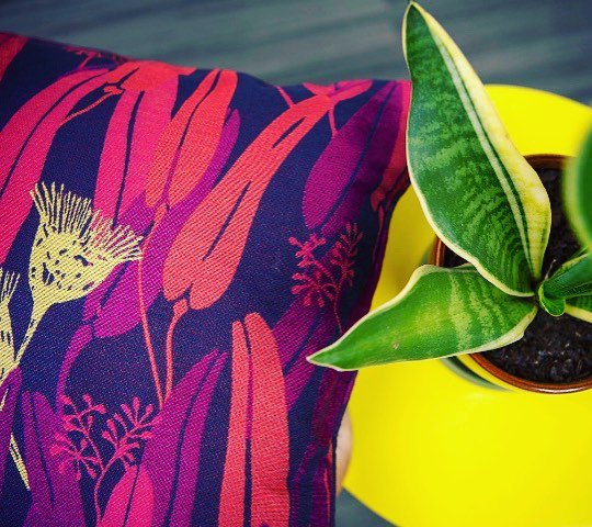 insideoutfabric's tweet image. Timeless and durable inside or outside. @jffabrics partners with #insideoutperformancefabrics #timelesstextiles #outdoorliving #performancetextiles #interiordesign