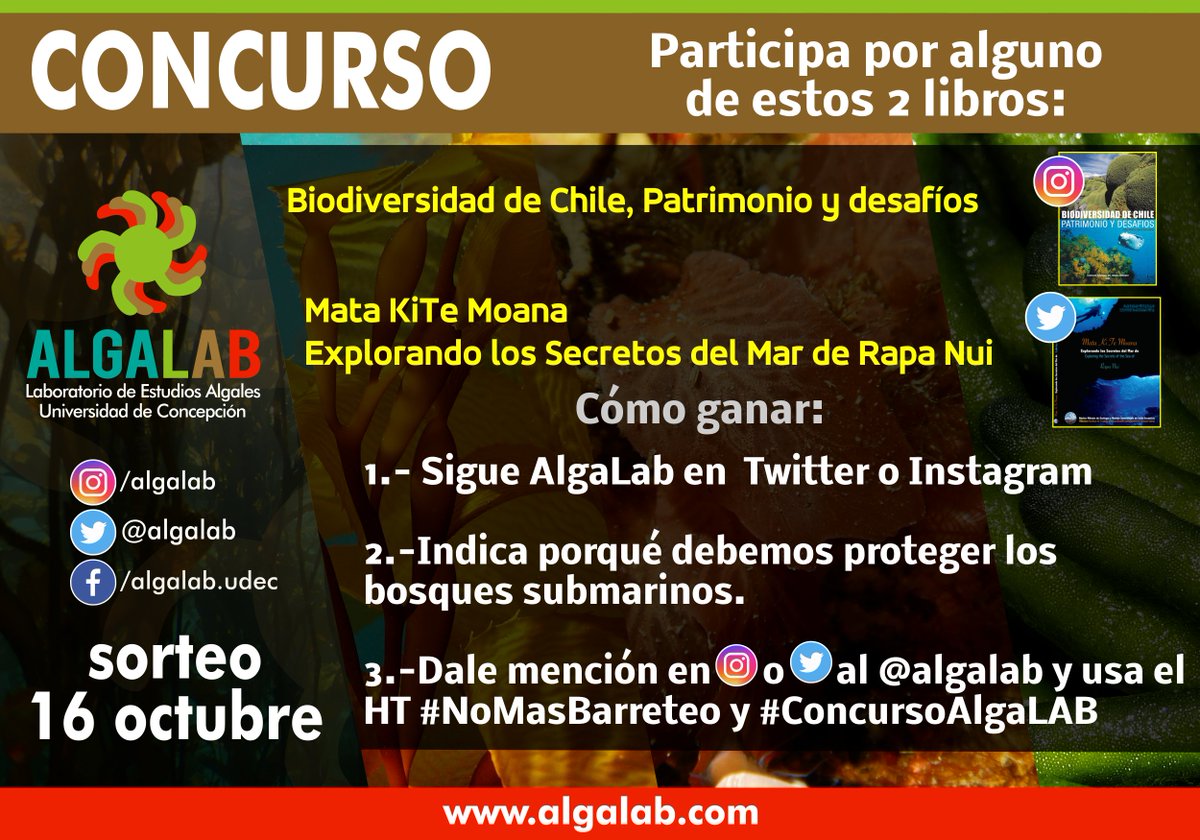 Algalab tweet media