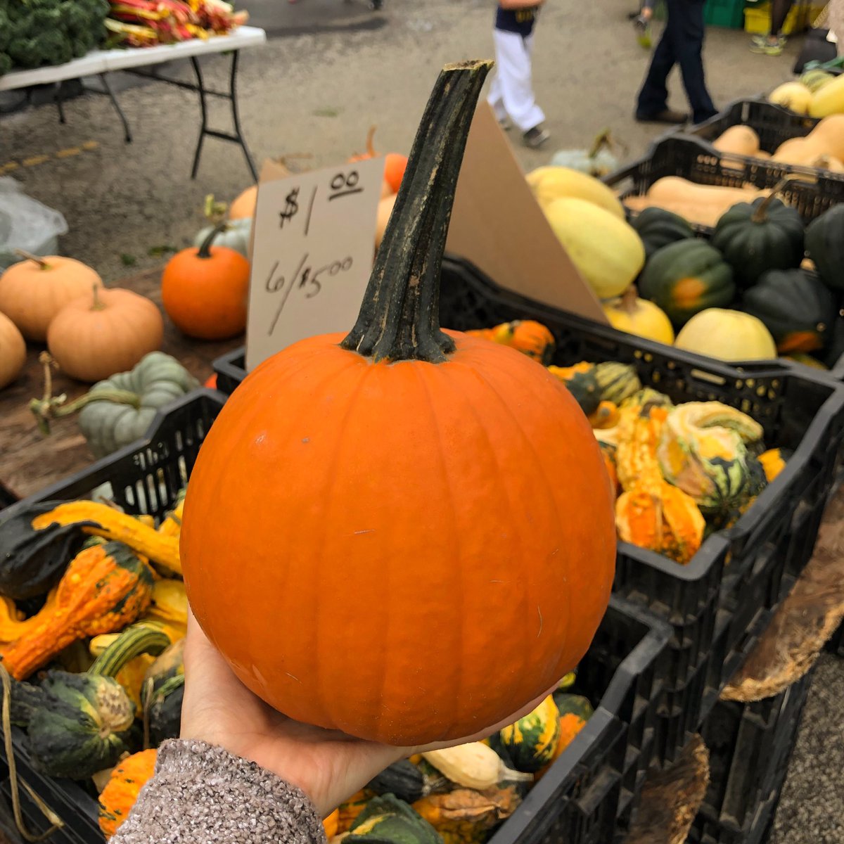 We are loving fall at the market🍁🍂
