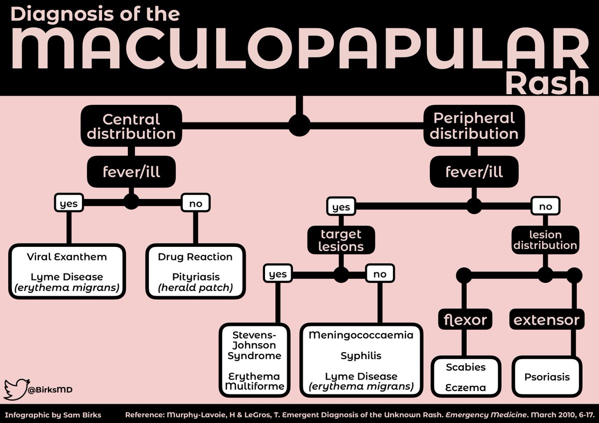Sam Birks tweet media